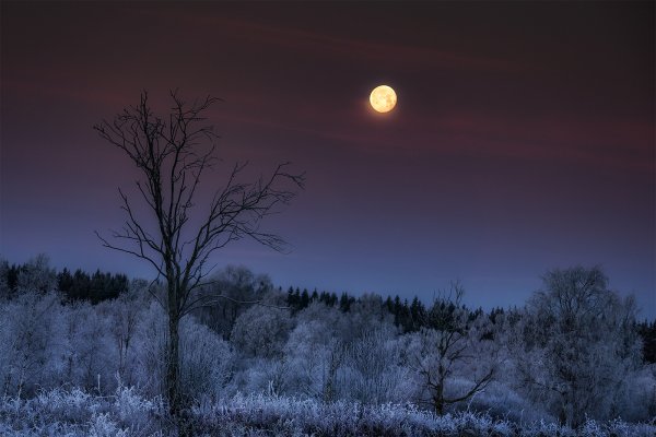 Полнолуние в декабре