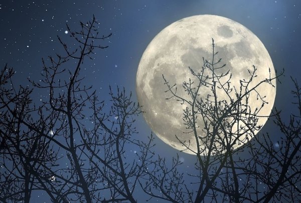 Полнолуние зимой