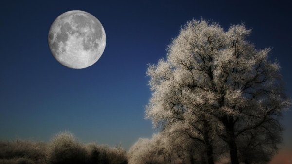 Зимняя Луна