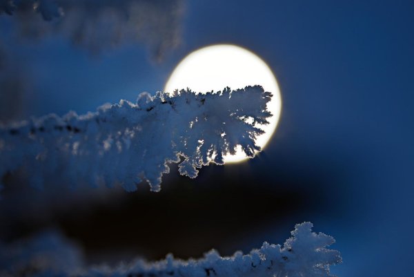 Полнолуние зимой