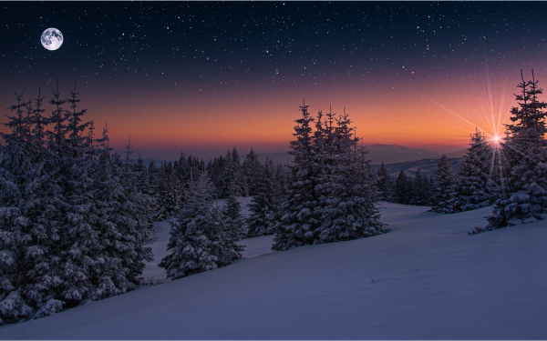 Зимний ночной пейзаж