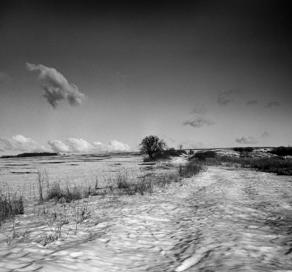 Серый лёд на растрескавшейся