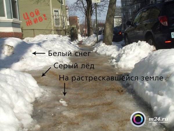 Виктор Цой белый снег серый лед