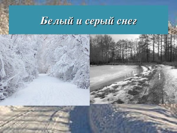 Белый снег серый лед