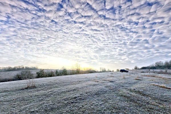 Зимнее поле в городе
