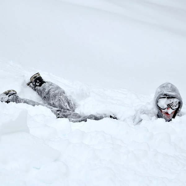 Белый снег белый лед