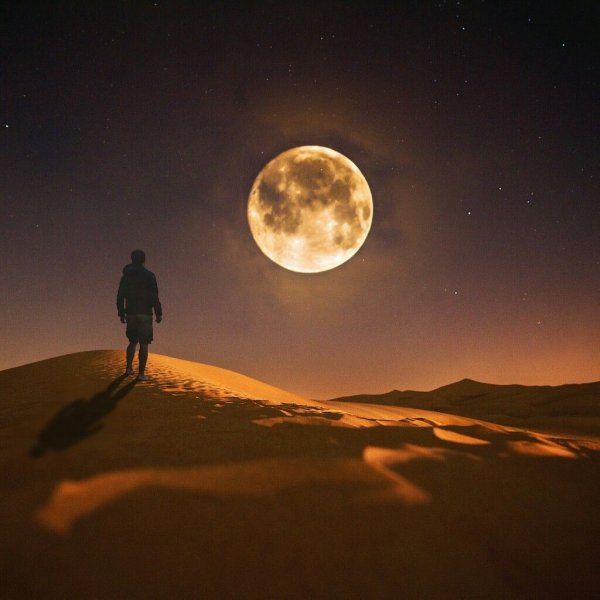 Лунная ночь в пустыне