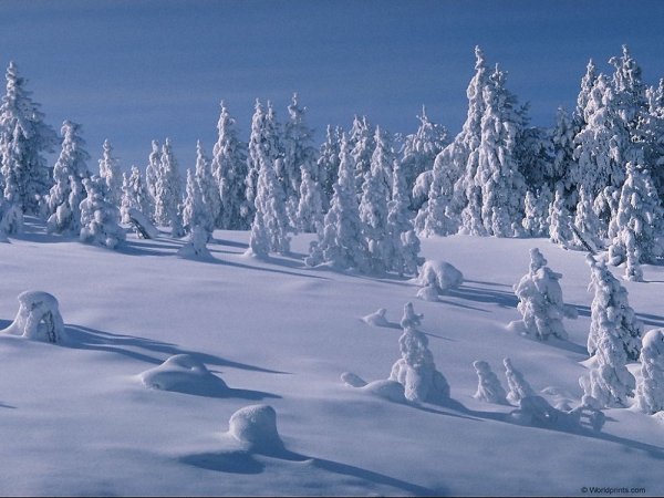 Земля зимой