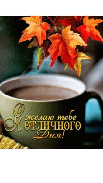 Доброе осеннее утро ноября