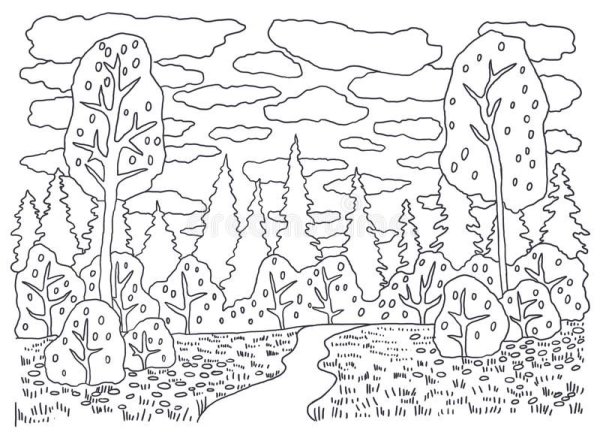 Осень в лесу - раскраска №9961