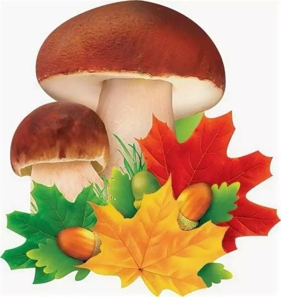 Осенние грибы для детей