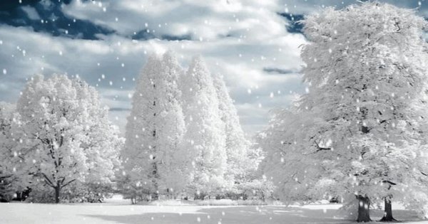 Стихи о зиме красивые