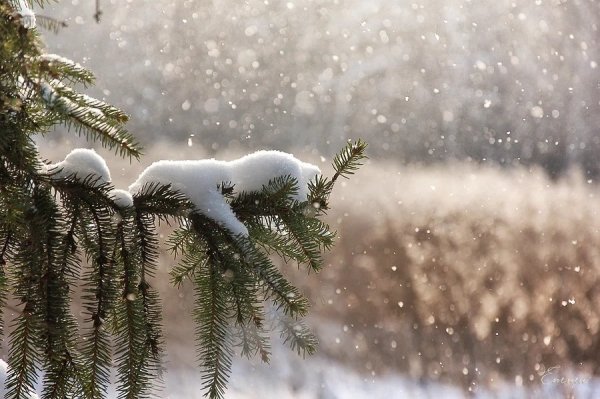 Легкий снег