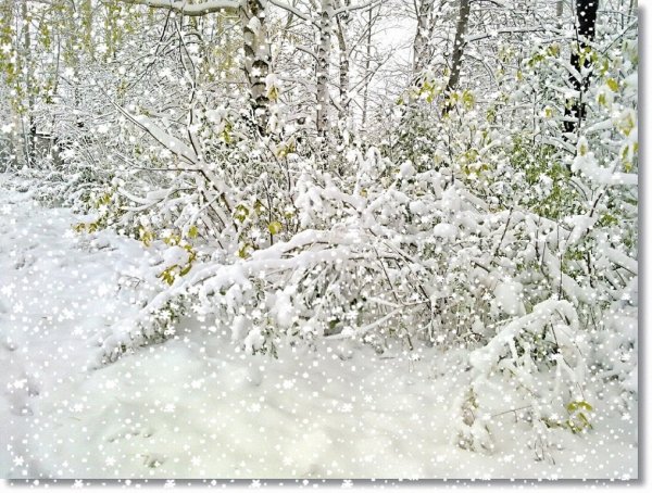 Хлопья снега