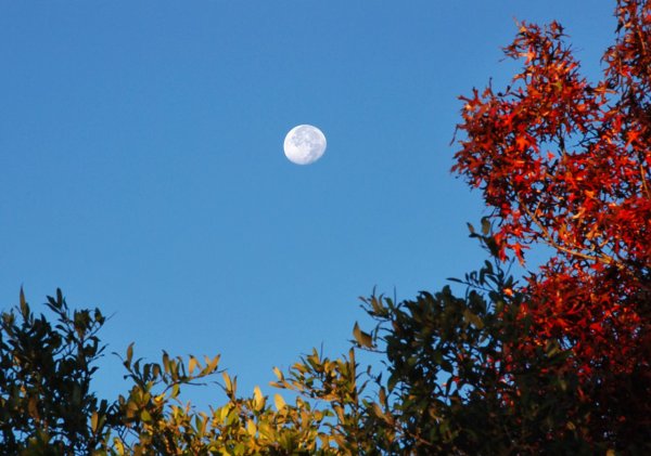 Полнолуние осень