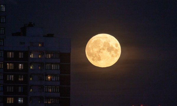 Волчья Луна 2022