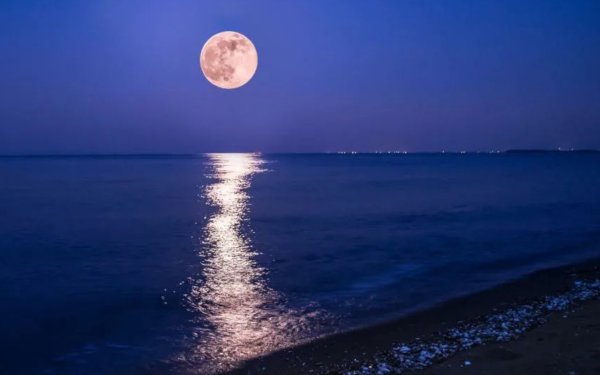 Розовая Луна море