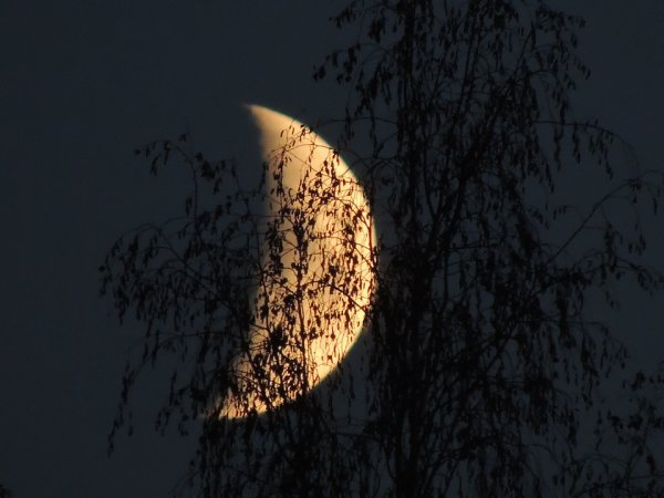 Осень вечер Луна
