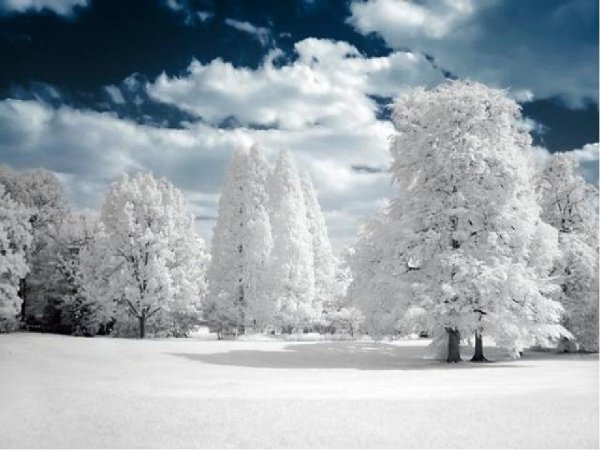 Наступила зима