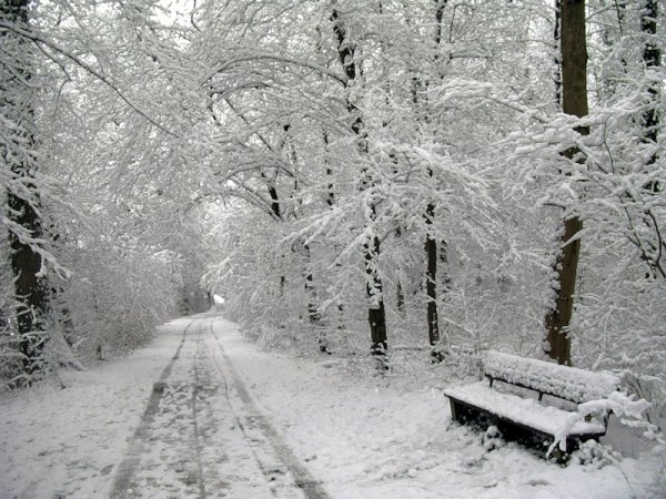 Тихо падает снег