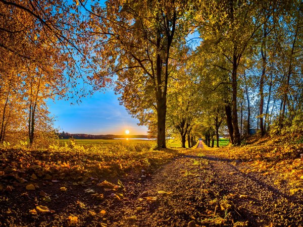 Природа осень