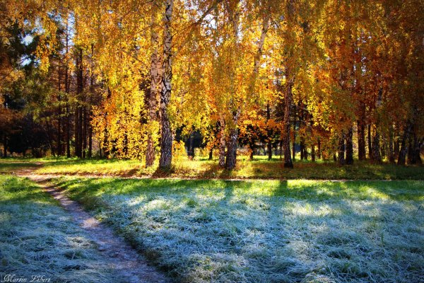 Солнечная осень