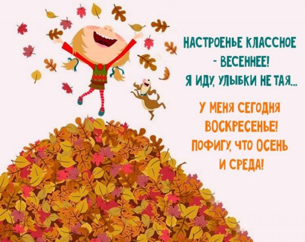 Шутки про осень