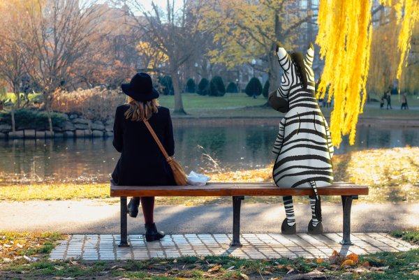 Хандра вокруг