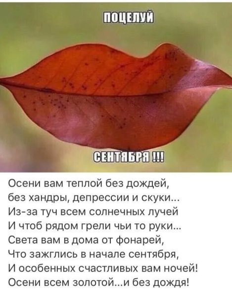 Высказывания в осенних листьях