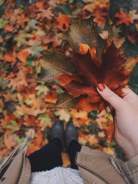 Ноги в листве