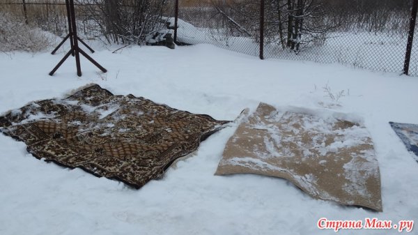 Ковер зимой