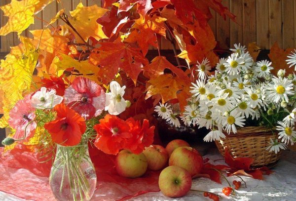 Осенние солнечные натюрморты