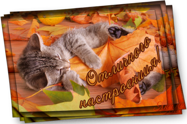 Отличного четверга доброе утро осень