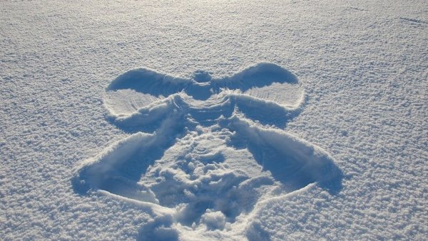 Ангелочек на снегу