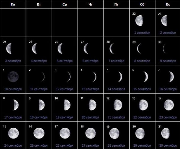 Растущая Луна полнолуние убывающая Луна