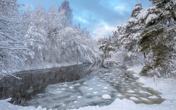 Лес река снег