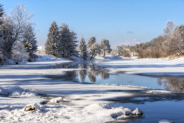 Зимний лес с рекой