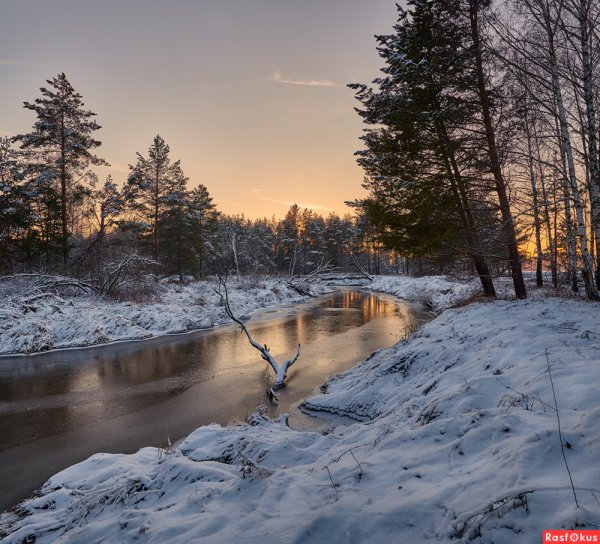 Река Шередарь Владимирская область