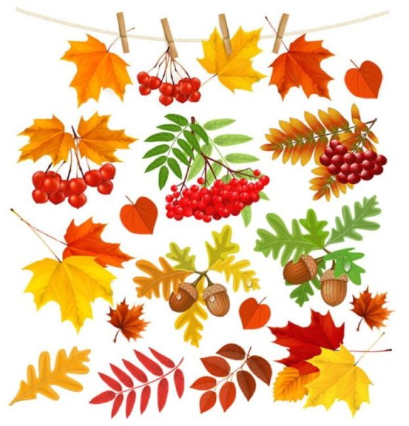 Осенние листья для детского сада