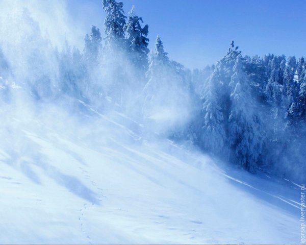 Метель и вьюга