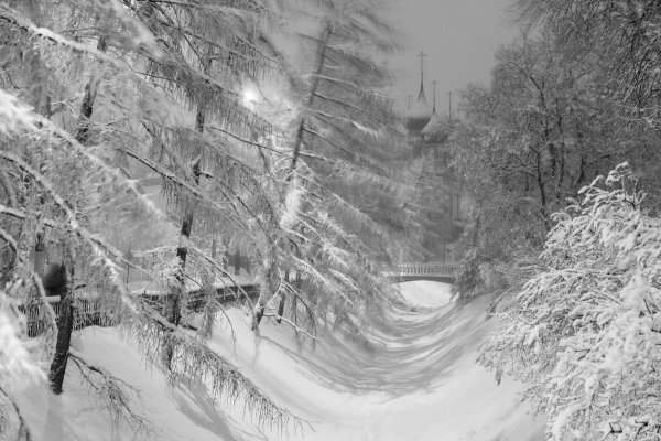 Февральская вьюга