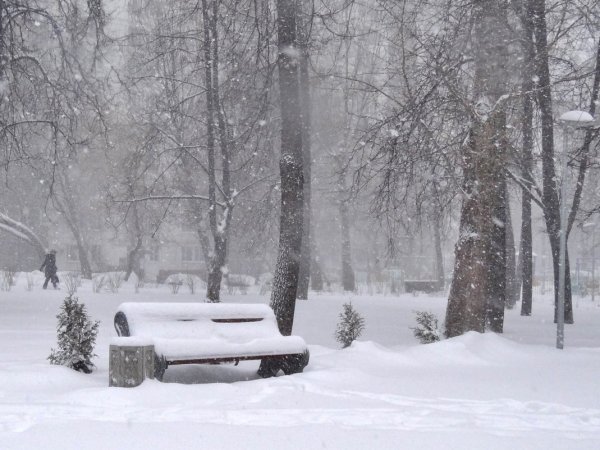 Зима сильный снег