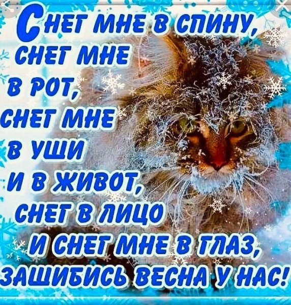 Приколы про зиму и весну