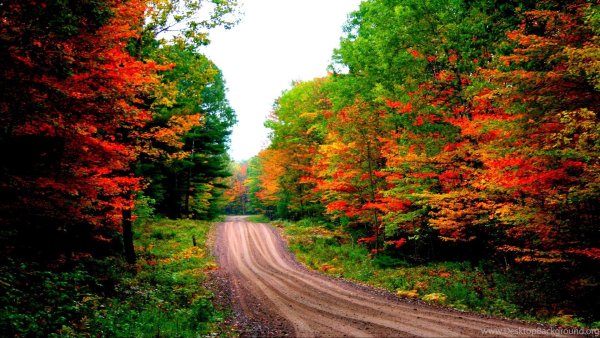 Лето осень переход