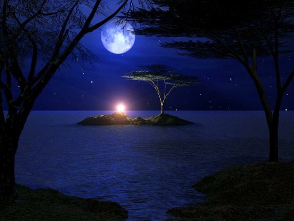 Красивая летняя ночь