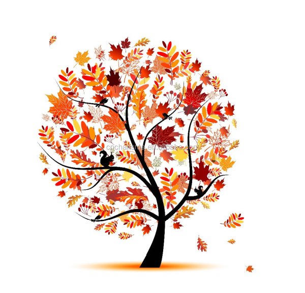 Деревья осенью