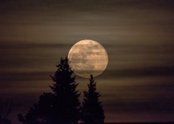 Вечерняя Луна