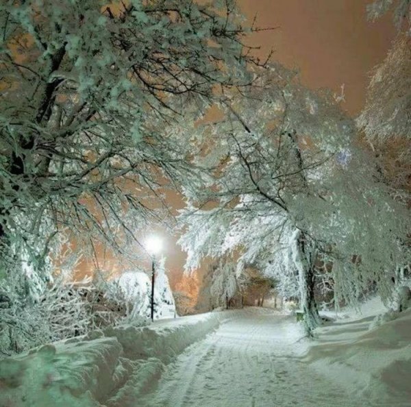Зимний пейзаж с падающим снегом
