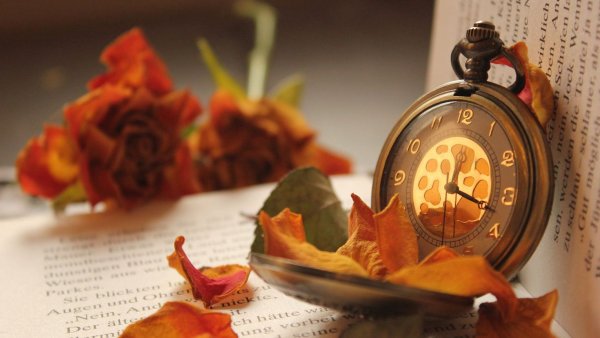 Часы осень