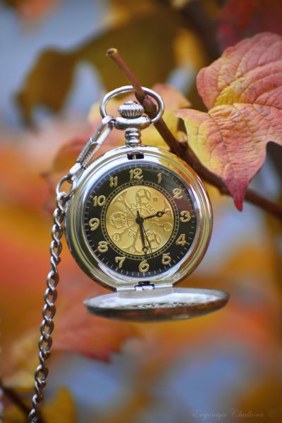 Осень с часами